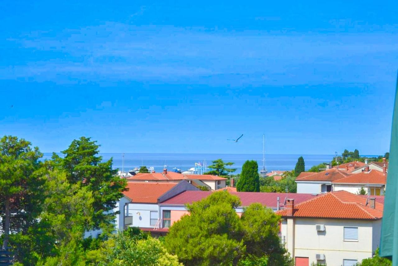 Apartman Panorama Punta *